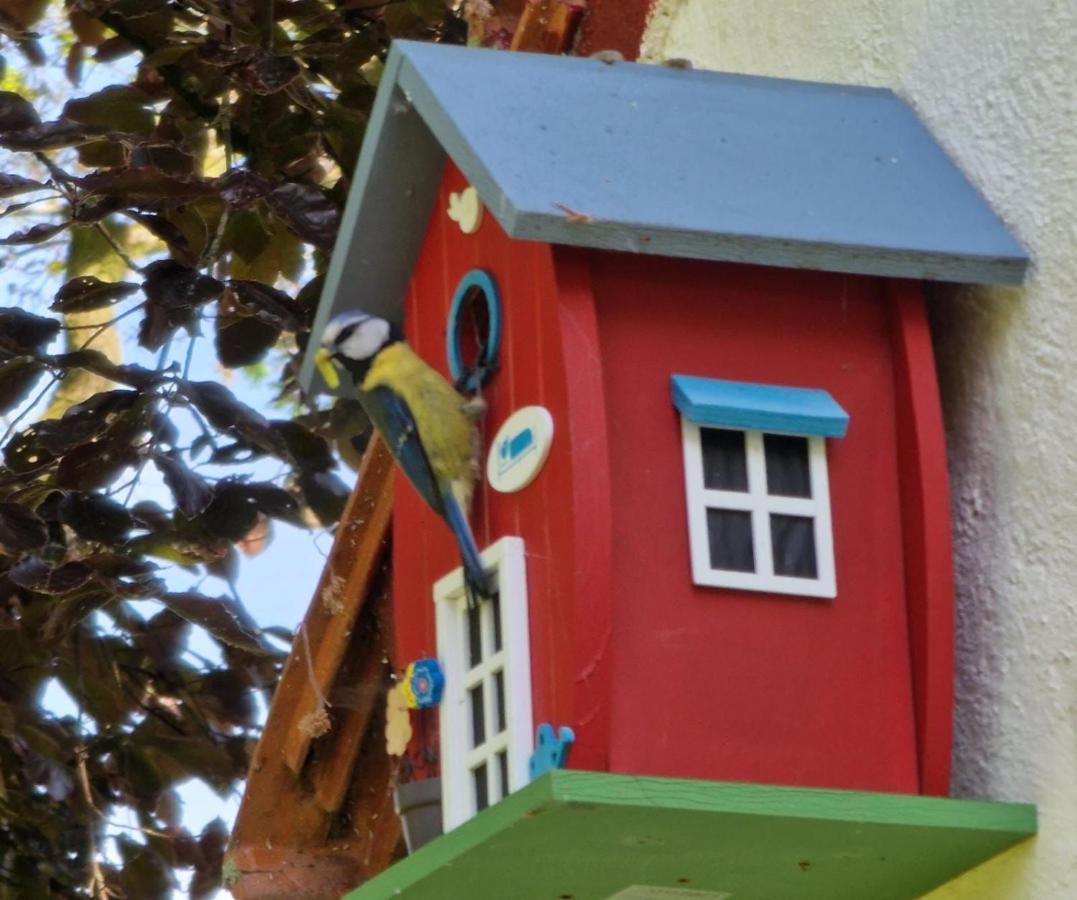 Vakantiewoning 'T Bakhuus Bergentheim Bagian luar foto