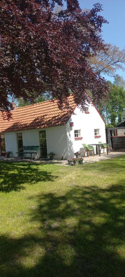Vakantiewoning 'T Bakhuus Bergentheim Bagian luar foto