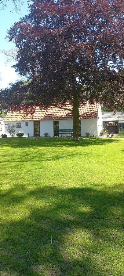 Vakantiewoning 'T Bakhuus Bergentheim Bagian luar foto